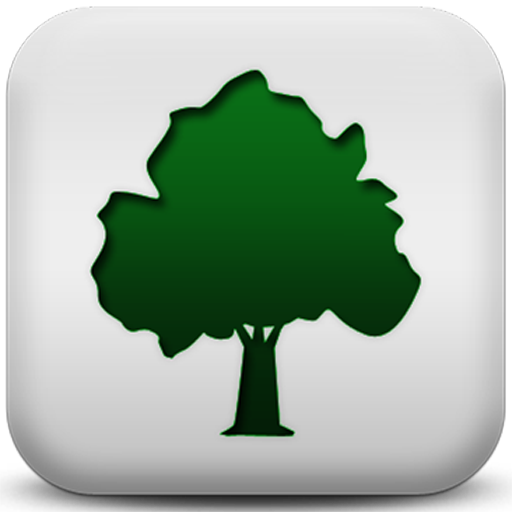 Tree Products